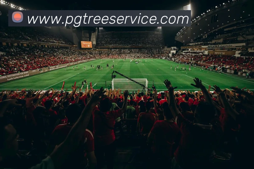 pg电子服务体系