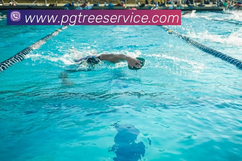 App Interface Preview