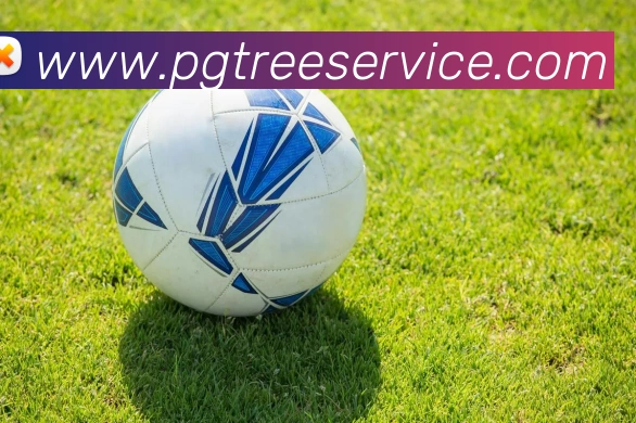 pg电子APP 封面图